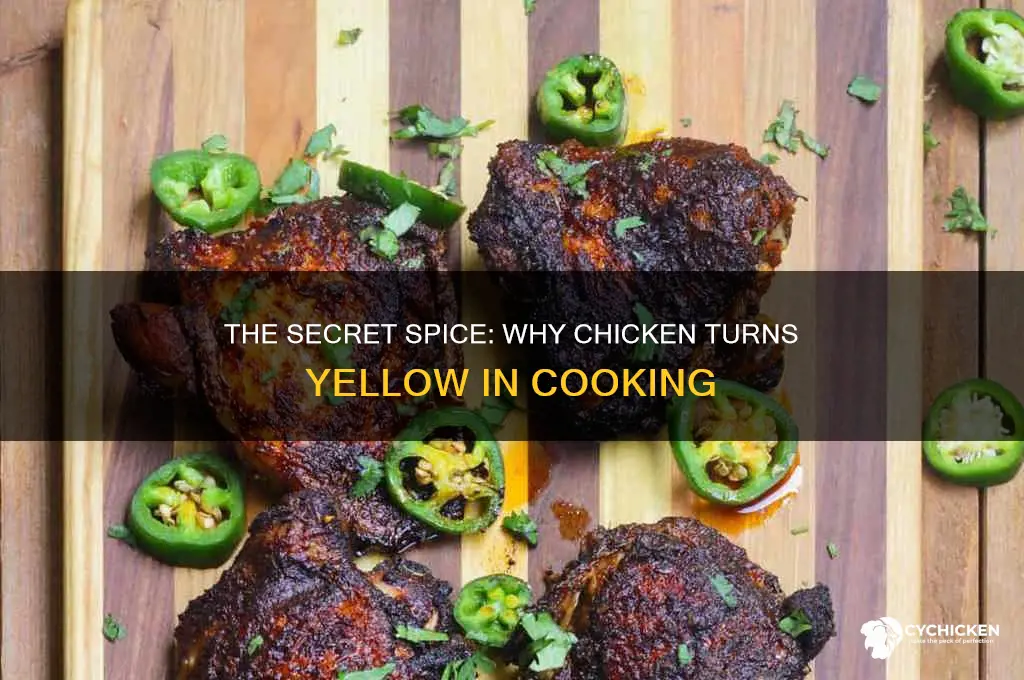 what spice gives chicken a yellow color