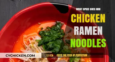 Perfect Spice Pairings to Elevate Your Chicken Ramen Noodle Experience
