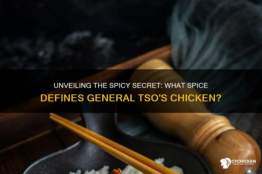 what spice is in general tso