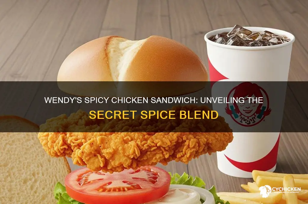 what spice is in wendy