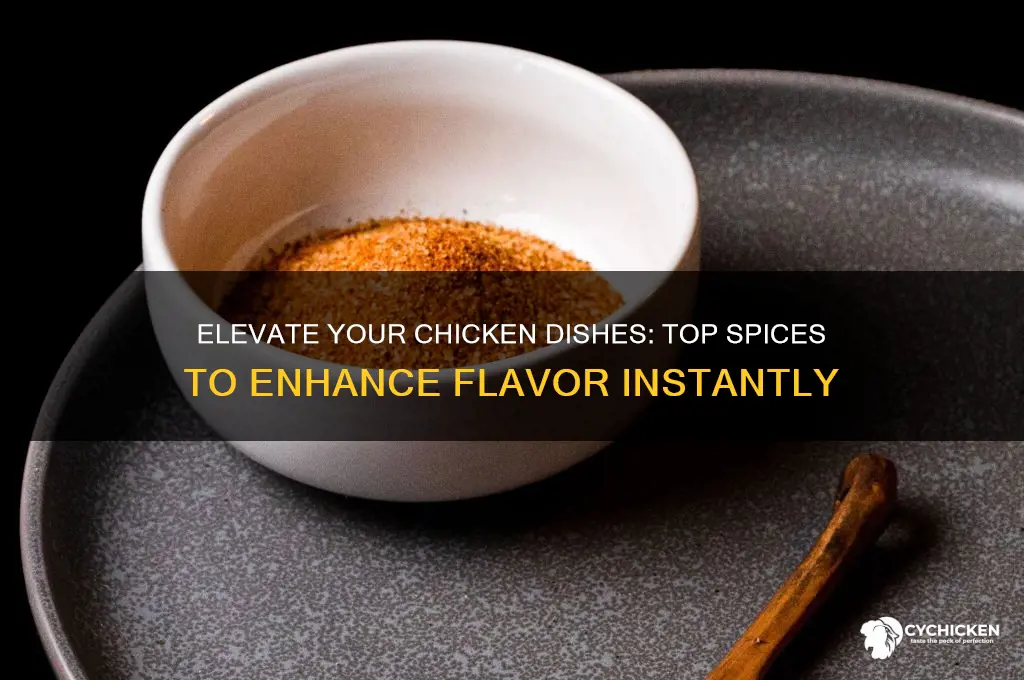 what spice will inhance the taste of chicken