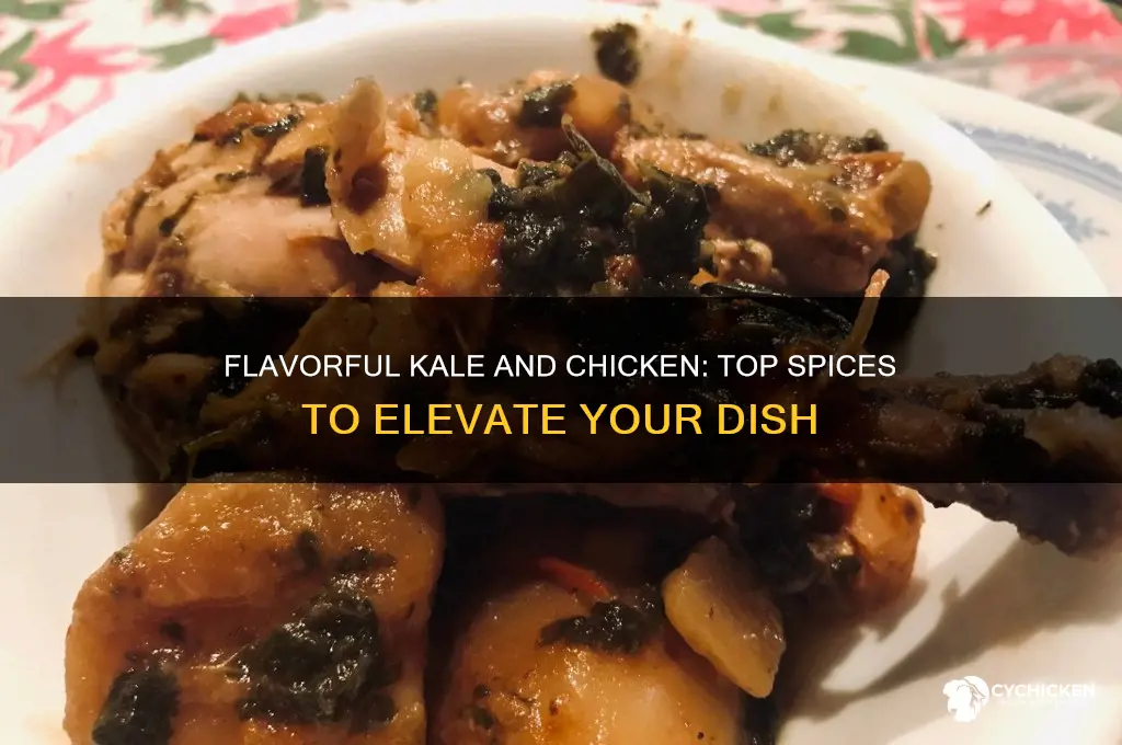 what spice wirk with kale and chicken