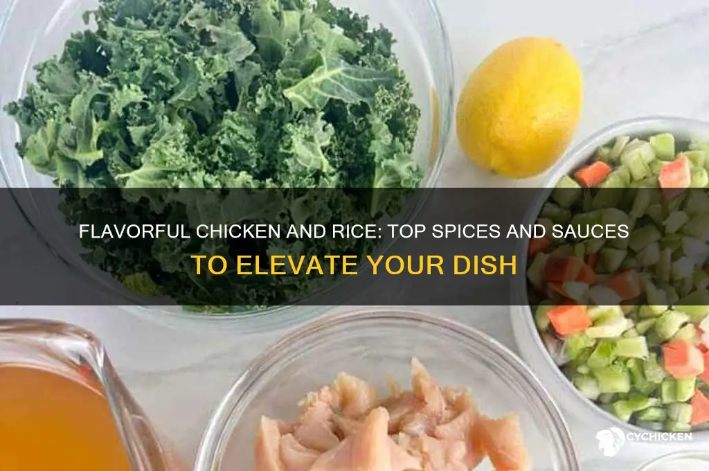what spices and sauces to put on chicken and tice