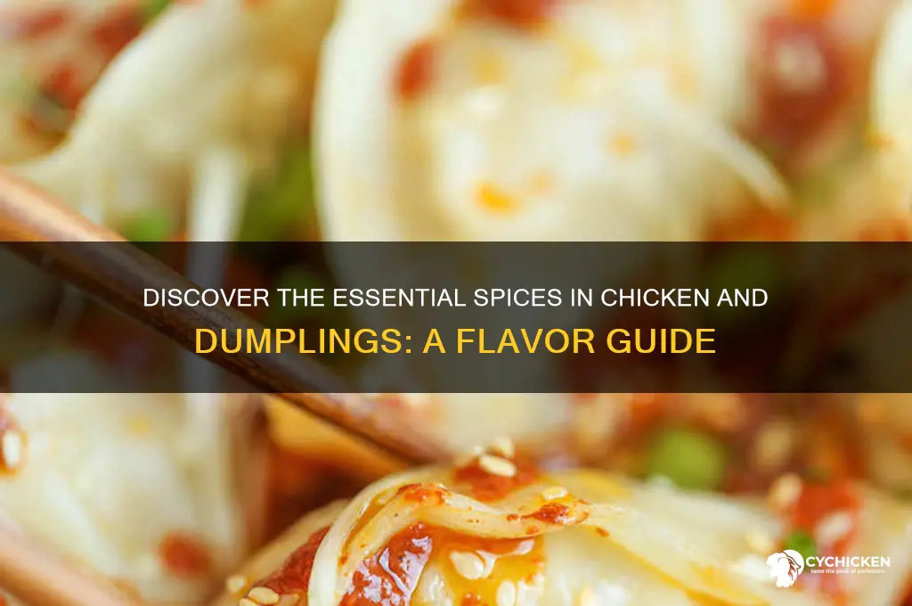 what spices are in chicken and dumplings