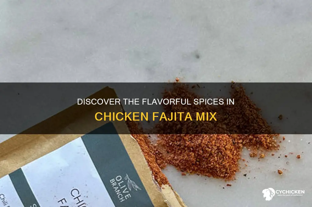 what spices are in chicken fajita mix