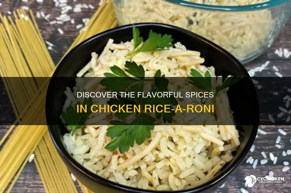 what spices are in chicken rice a roni