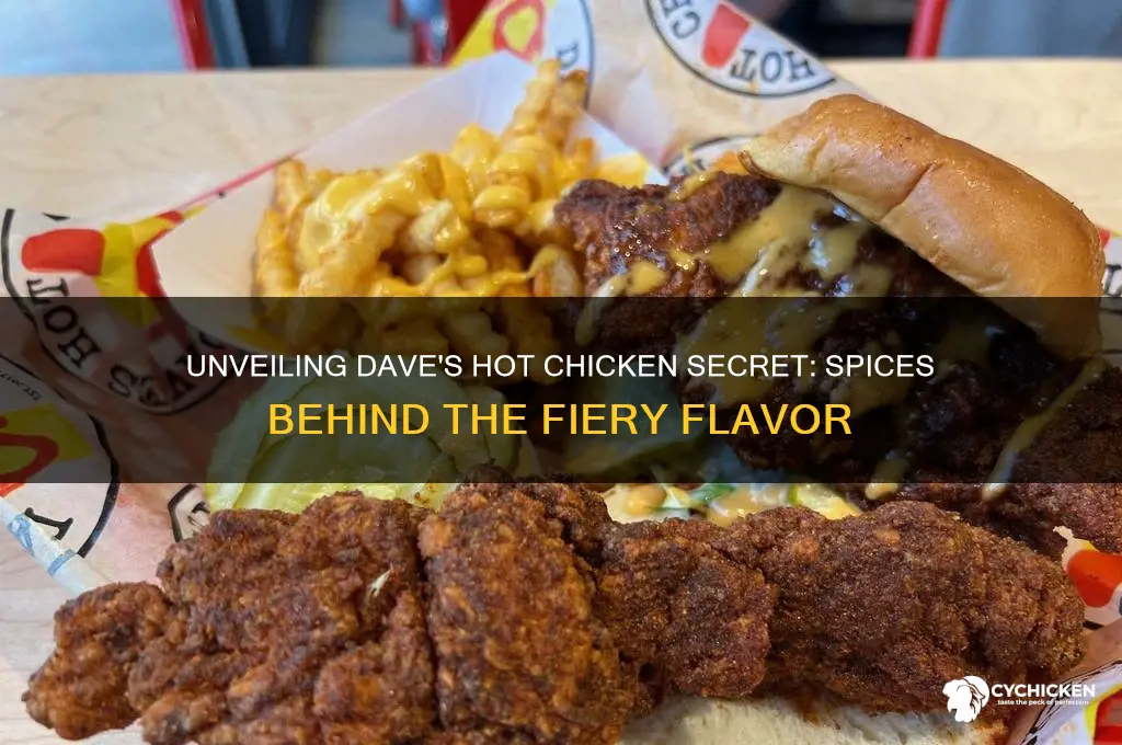 what spices are in dave