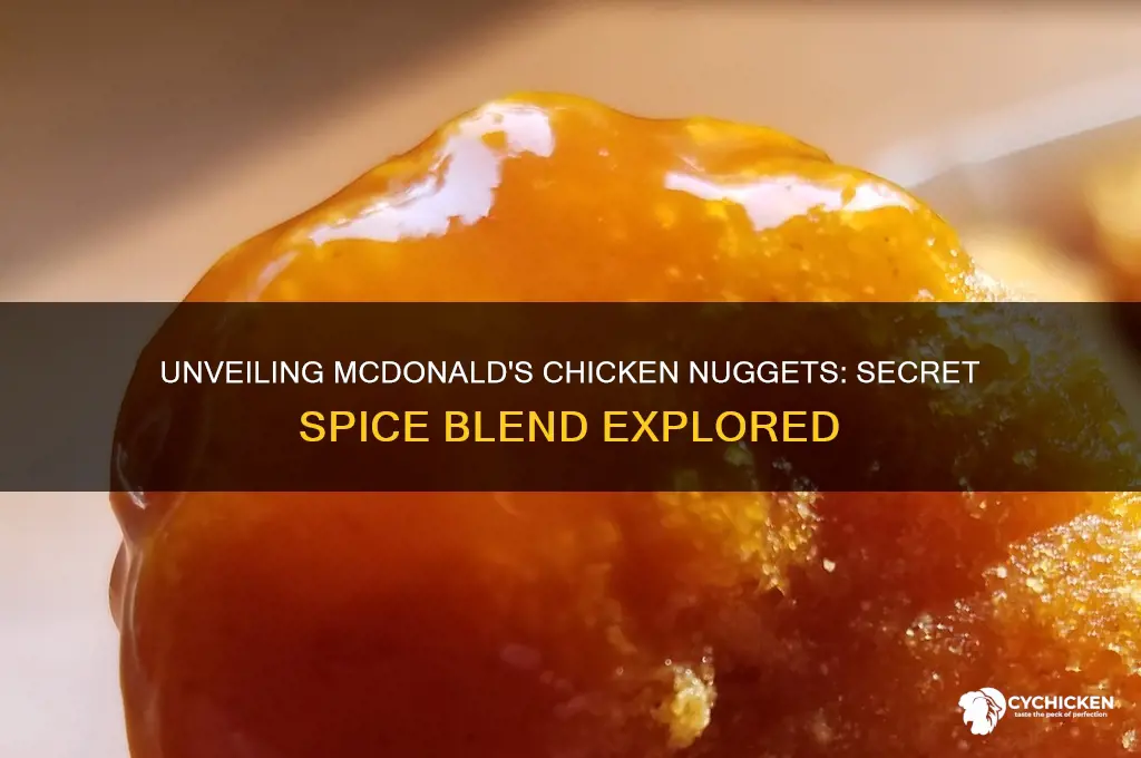 what spices are in mcdonald