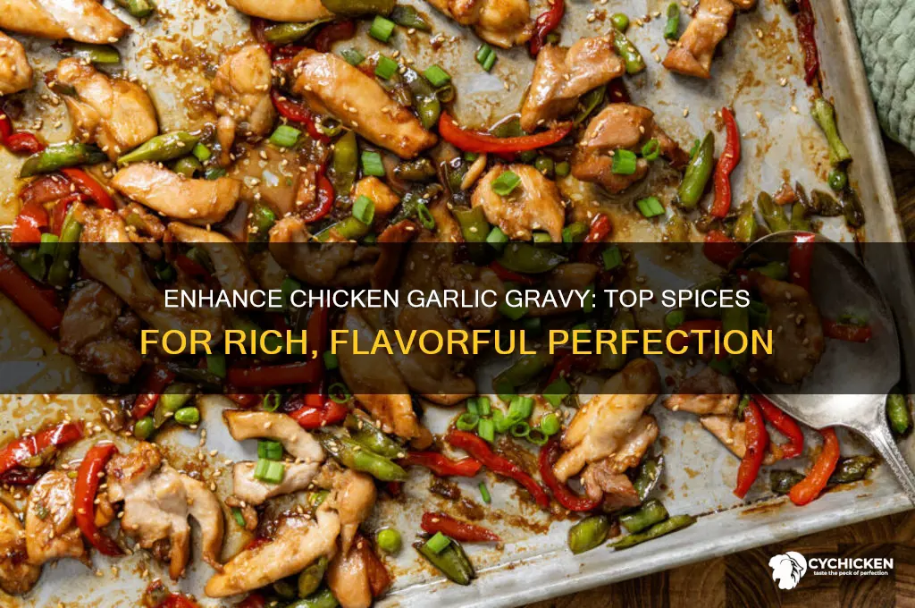 what spices compliment a chicken garlic gravy