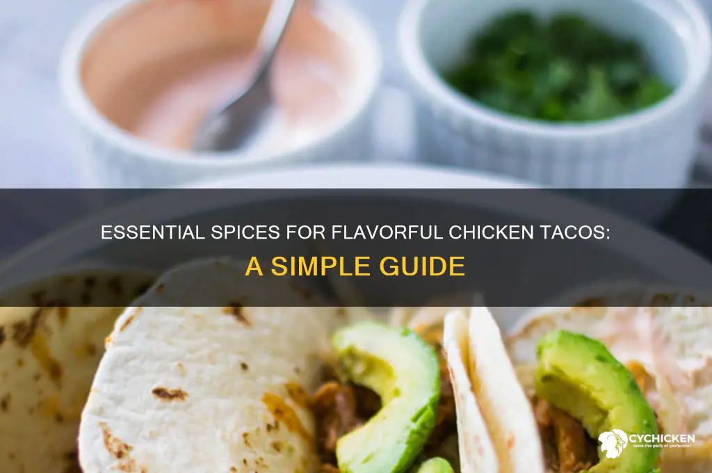 what spices do i need for chicken tacos