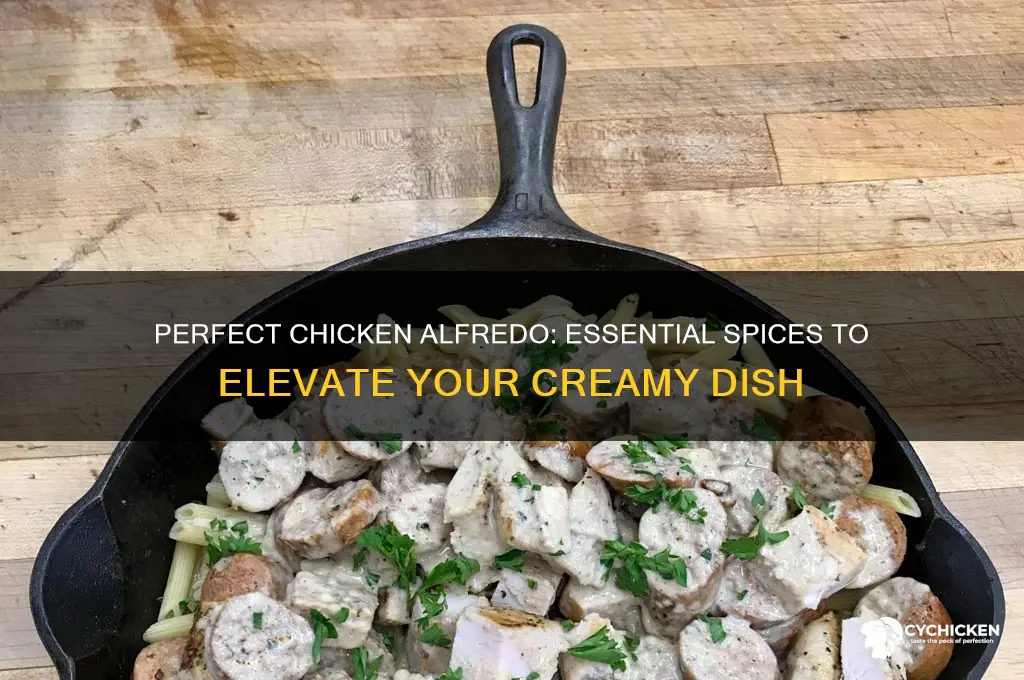 what spices do you put in chicken alfredo