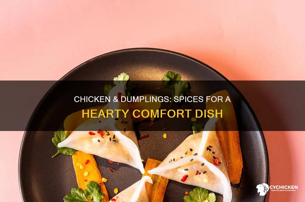 what spices do you put in chicken and dumplings