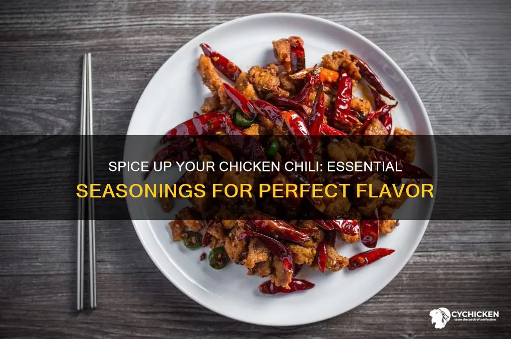 what spices do you put in chicken chili