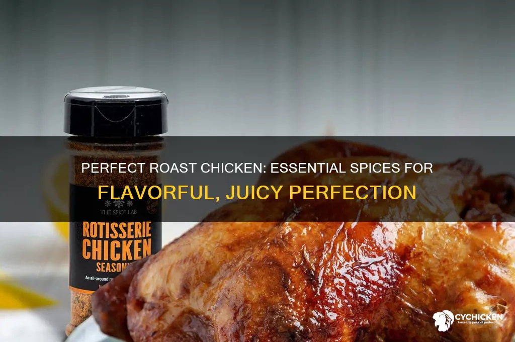 what spices do you put on a roast chicken