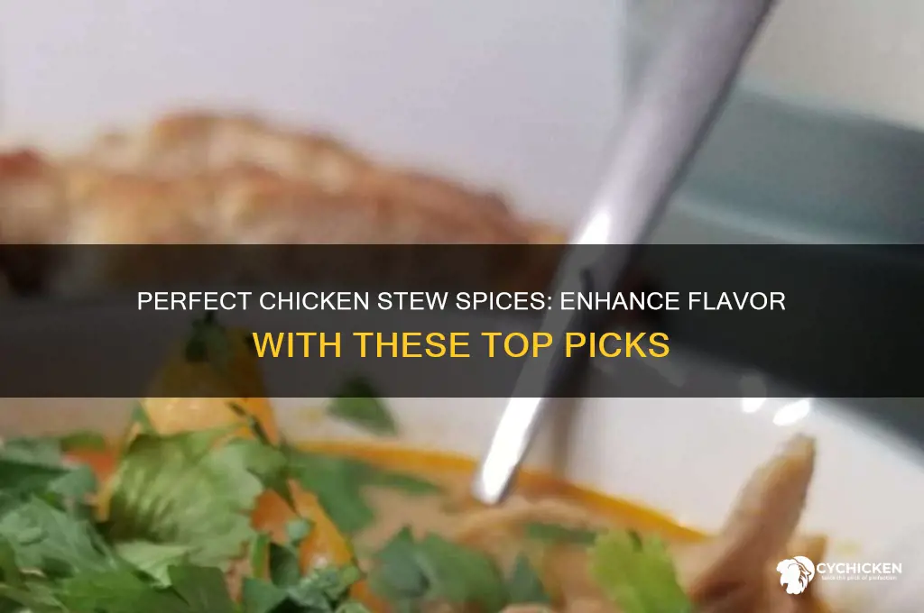 what spices go best with chicken stew