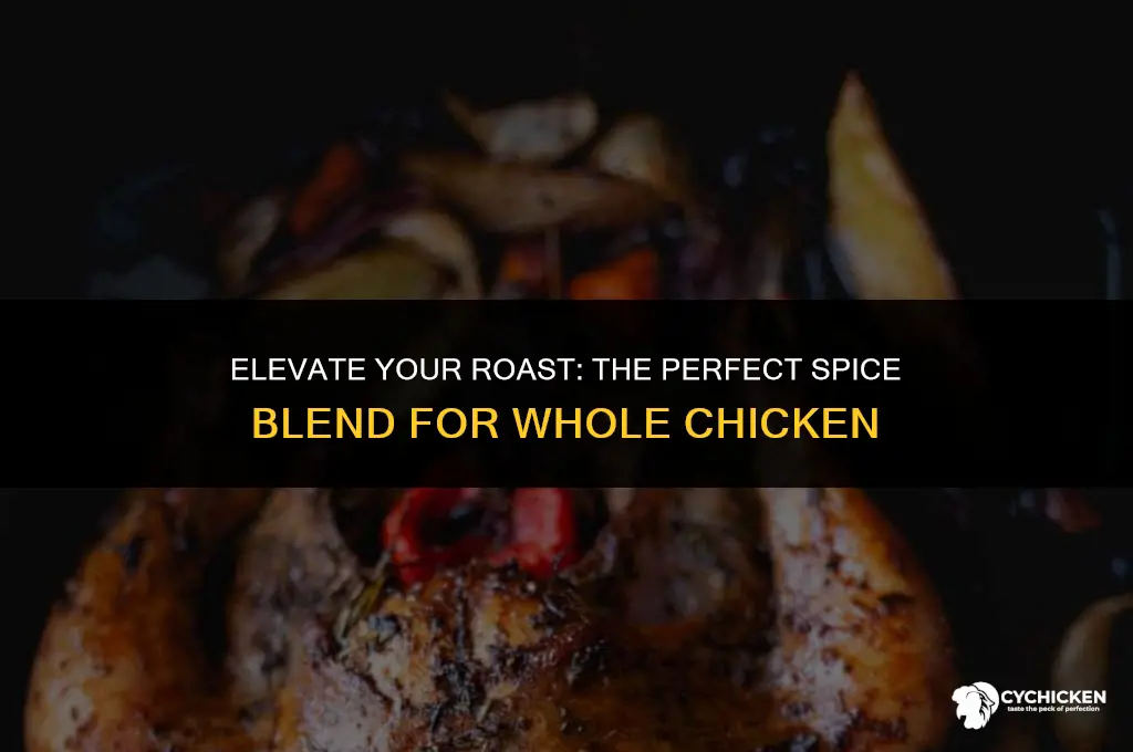 what spices go grear on whole chicken