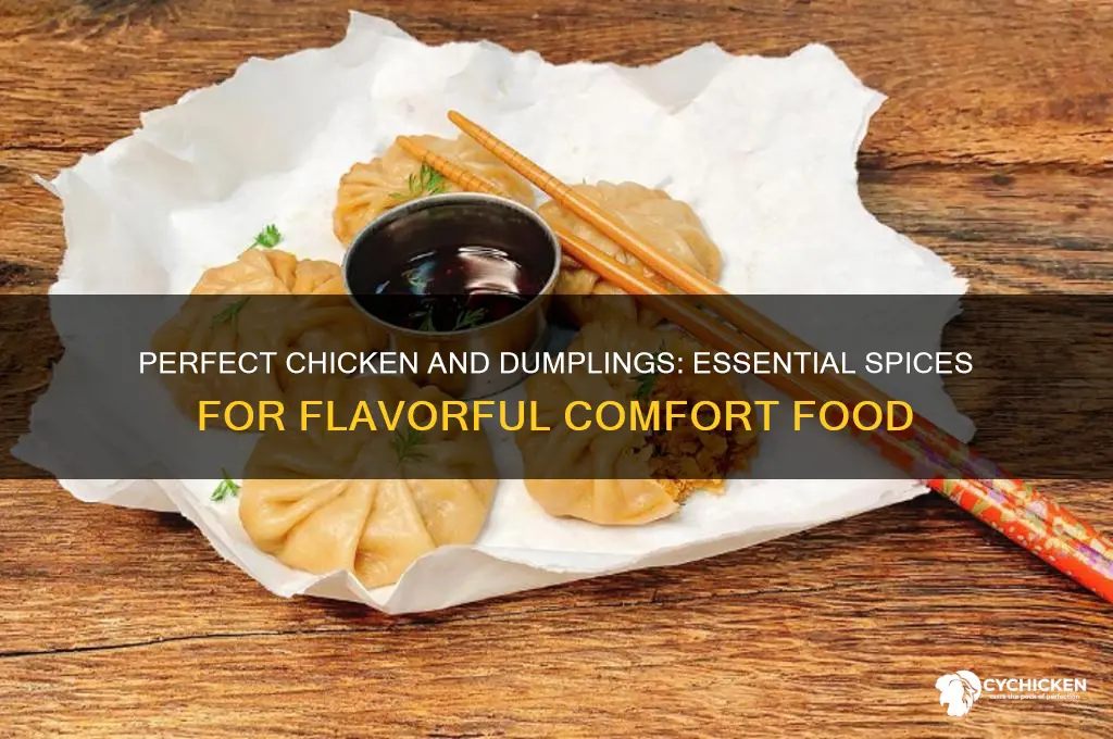 what spices go in chicken and dumplings