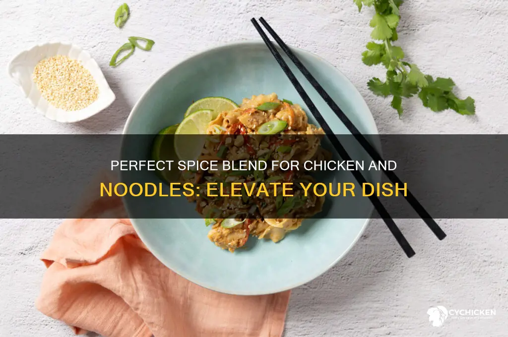 what spices go in chicken and noodles