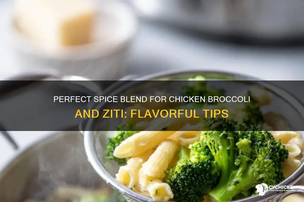 what spices go on chicken broccoli and ziti