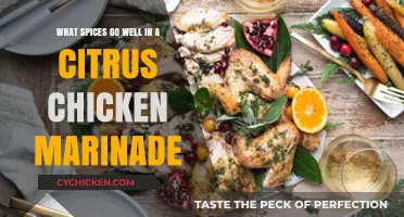 Citrus Chicken Marinade: Spices for a Zesty Kick