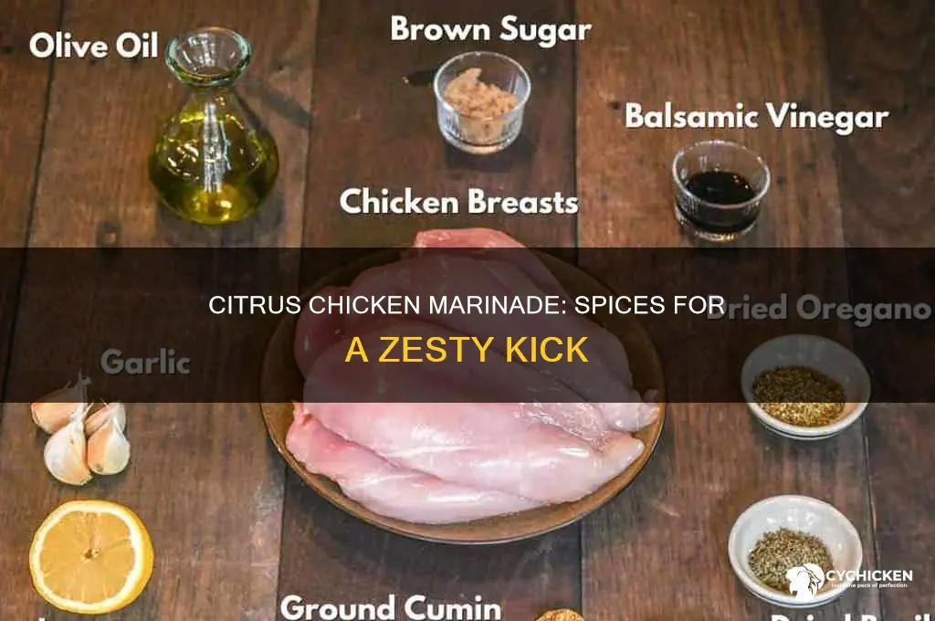 what spices go well in a citrus chicken marinade