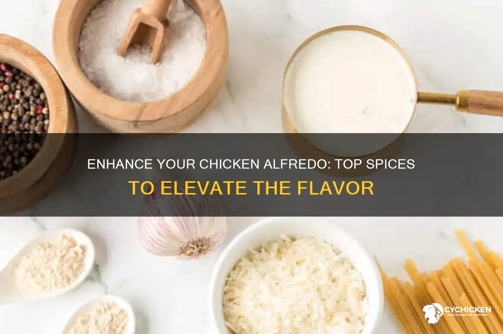 what spices go well with chicken alfredo