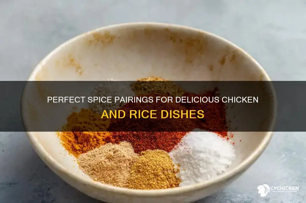 what spices go well with chicken and rice