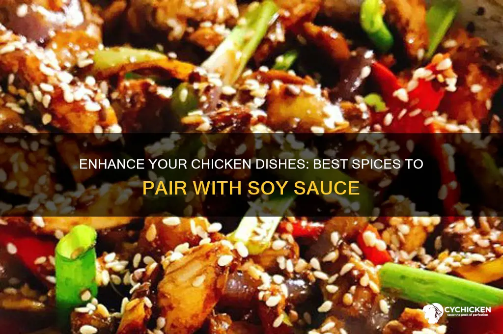 what spices go well with soy sauce and chicken