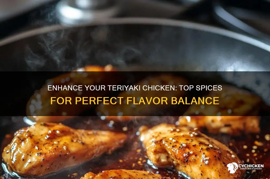 what spices go well with teriyaki chicken