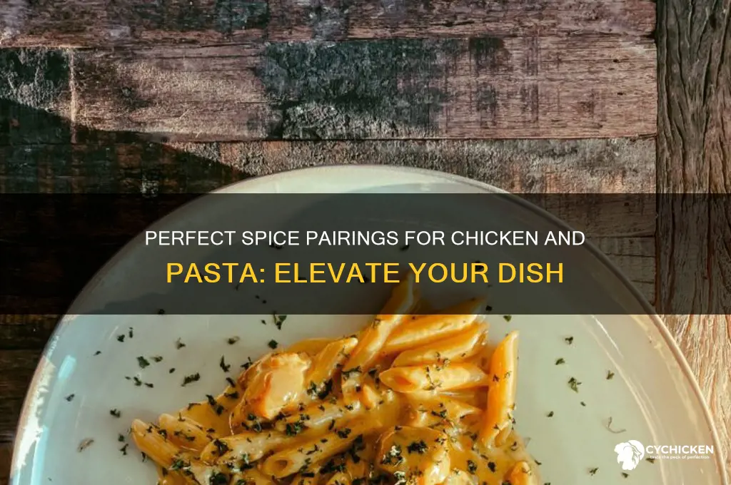 what spices go with chicken and pasta