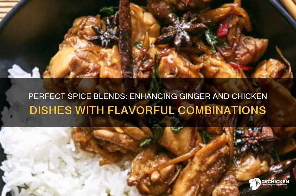 what spices go with ginger and chicken
