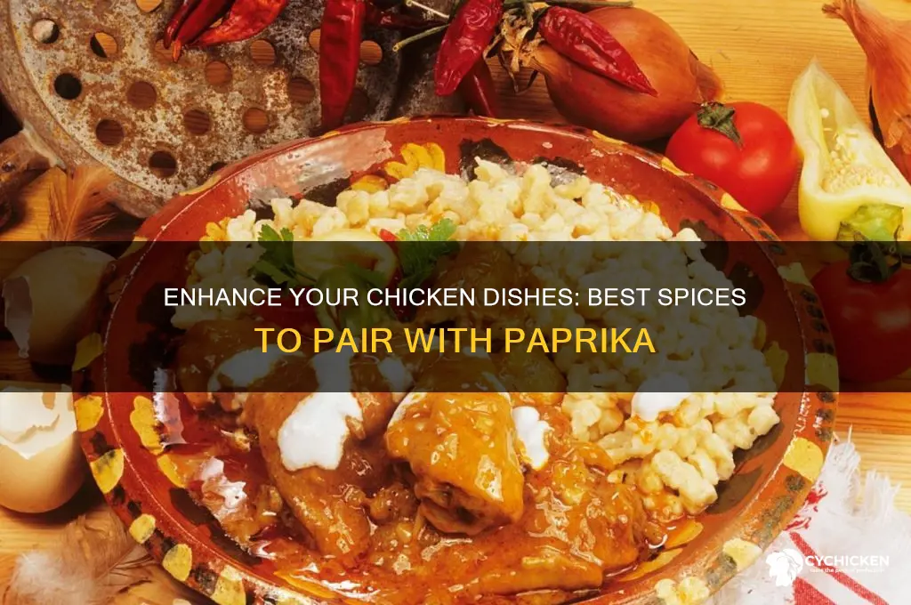 what spices go with paprika and chicken