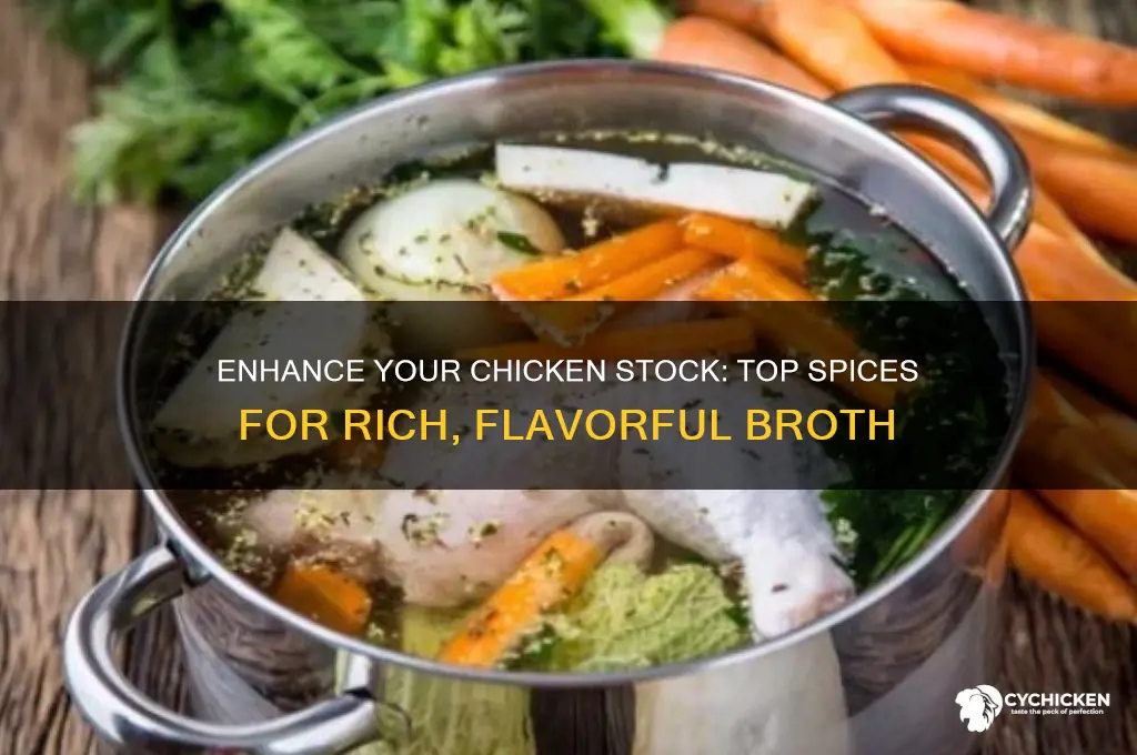 what spices to add to chicken stock