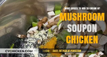 Enhancing Cream of Mushroom Soup with Spices for Chicken