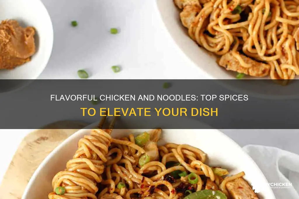 what spices to put in chicken and noodles