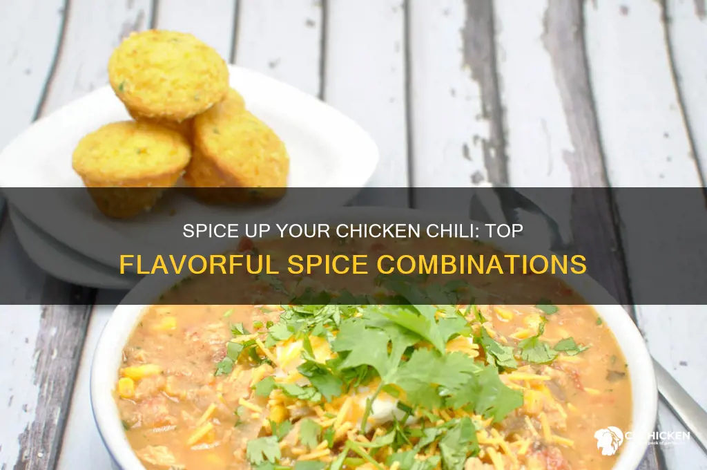 what spices to put in chicken chili