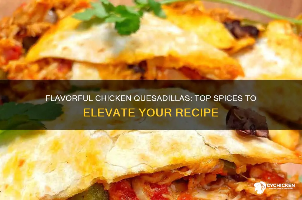 what spices to put in chicken quesadillas