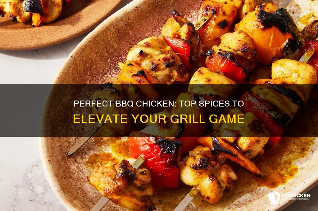 what spices to put on bbq chicken