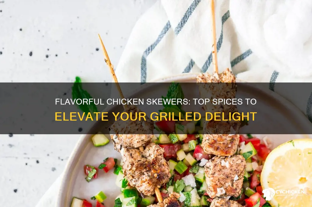 what spices to put on chicken skewers