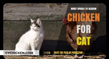 Safe and Flavorful Spices to Season Chicken for Your Cat