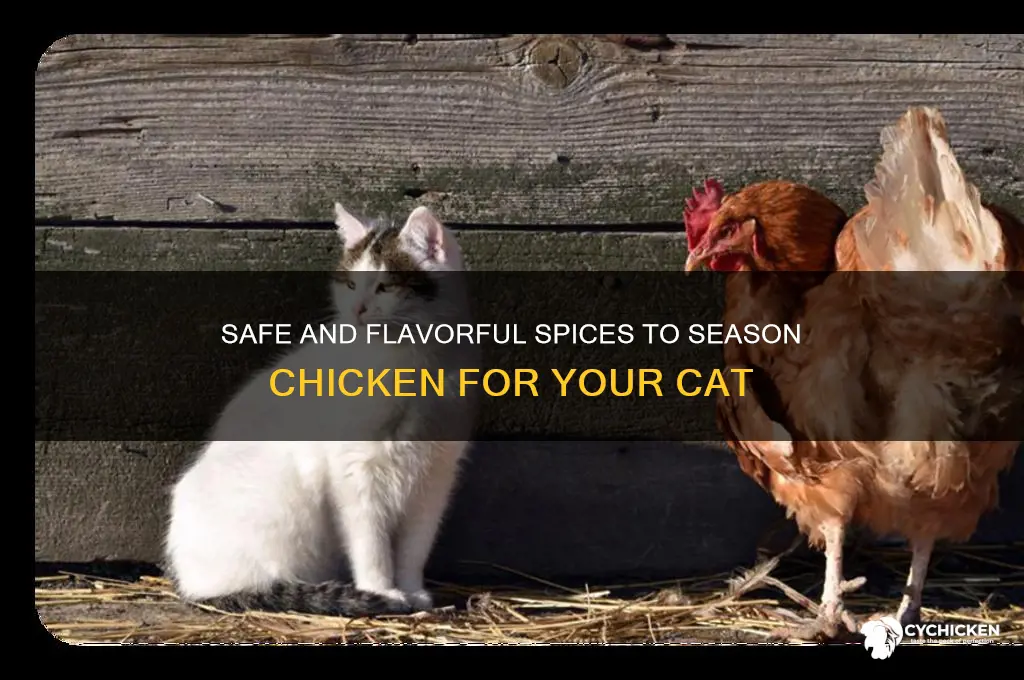 what spices to season chicken for cat