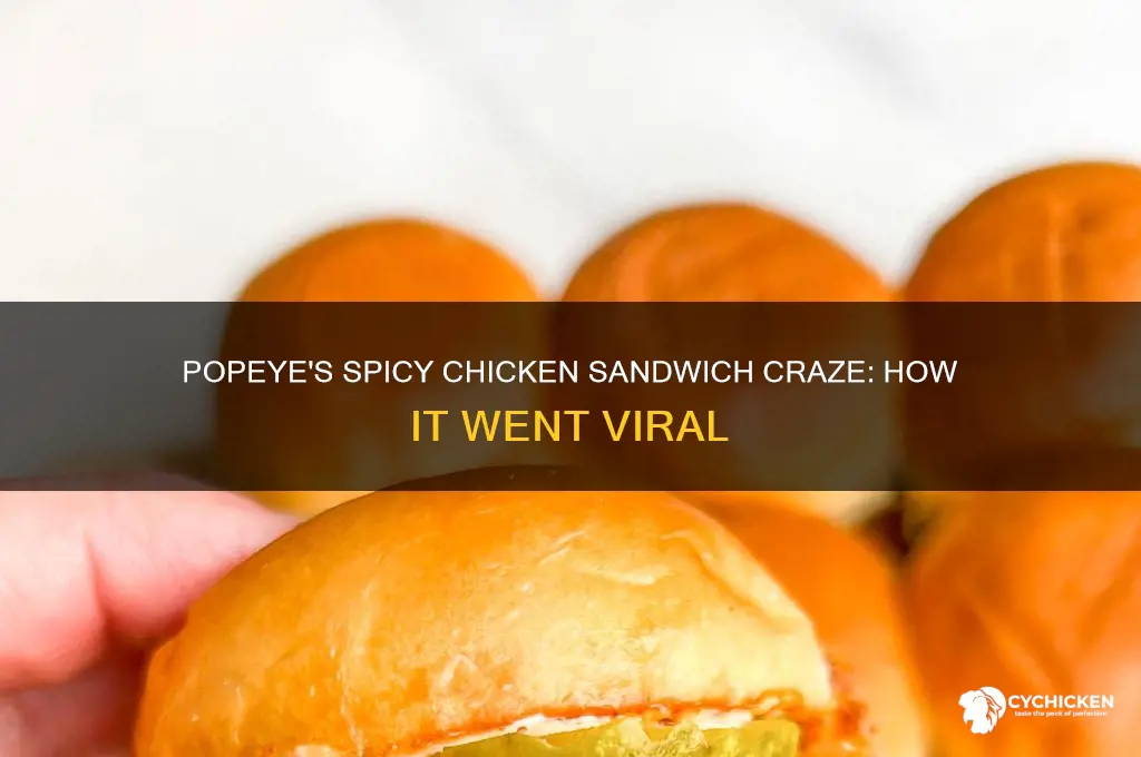 what spicy chicken sandwich at popeye
