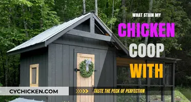 Natural Stains for Chicken Coops: A Guide to Safe and Effective Options