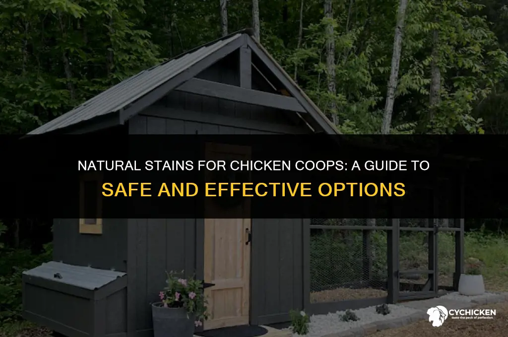what stain my chicken coop with