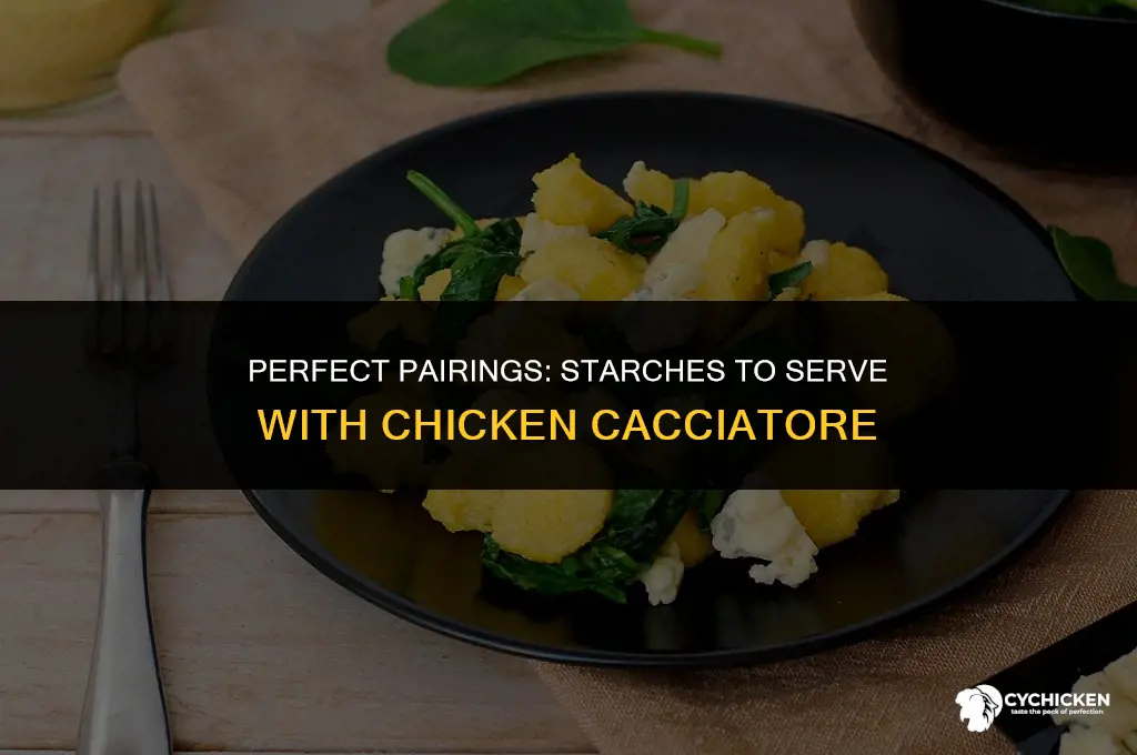 what starch to serve with chicken cacciatore