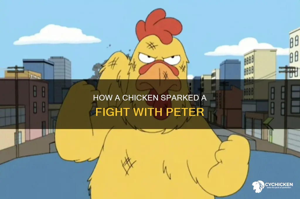 what started the fight between peter and the chicken