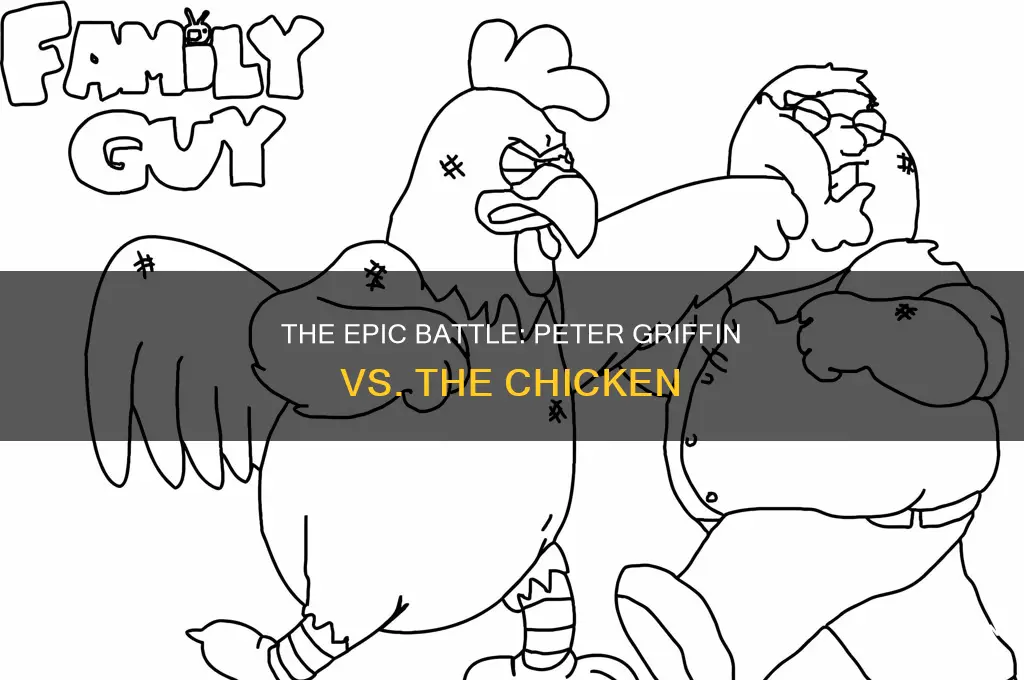 what started the fight between peter griffin and the chicken