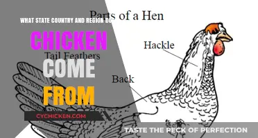Chicken Origins: A Global Food History