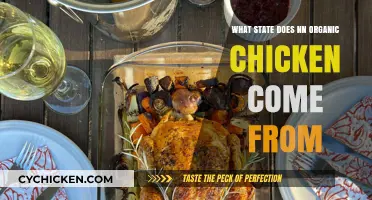 Discovering the Origin State of NN Organic Chicken: A Guide