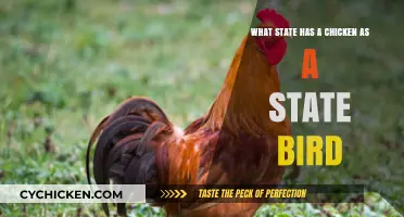 Which US State Has a Chicken as Symbol?